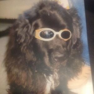 Meet your Posher, Diane